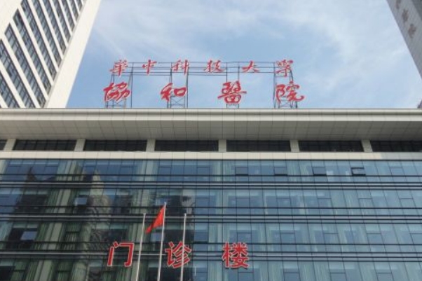武汉市郭亮玻尿酸丰唇珠技术点评怎么样?案例变化