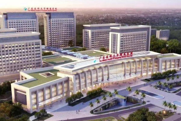 湛江市蔡川川激光祛斑收费多少?技术评价&案例欣赏