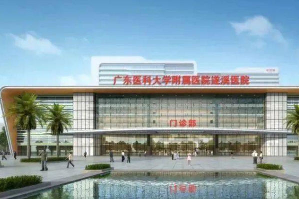湛江市蔡川川激光祛斑收费多少?技术评价&案例欣赏