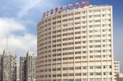 上海市陈付国脂肪填充面