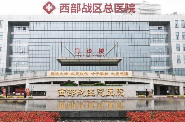 西部战区总医院杨勇自体隆胸技术亮点怎么样?案例细节