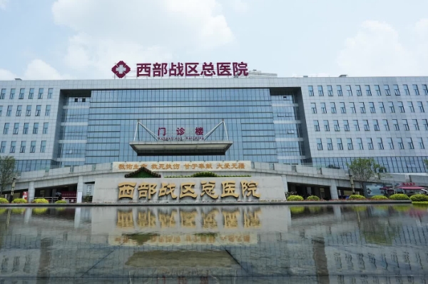 西部战区总医院杨勇自体隆胸技术亮点怎么样?案例细节