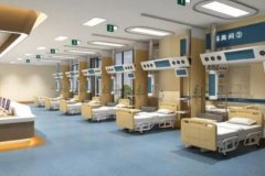 济南市倪金蕾鼻唇沟凹陷