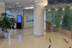 上海长征医院朱鴷肋软骨