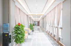 北京郑雅霓v字脸整形术