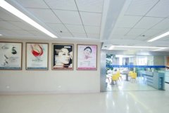 济南市田玉东胶原蛋白丰