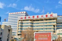 山东大学第二医院新月双