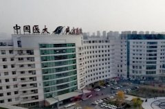 盛京医院祛斑收费标准?90天案例,效果测评	
