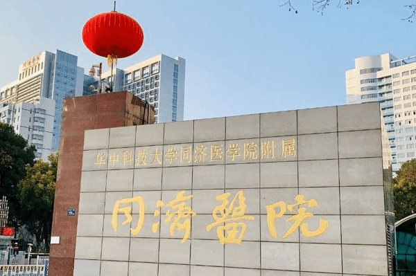 武汉同济医院玻尿酸丰唇整形怎么样?一般多少钱?术后半年案例&技术风格	